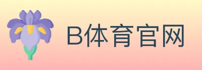 B体育官网 Logo